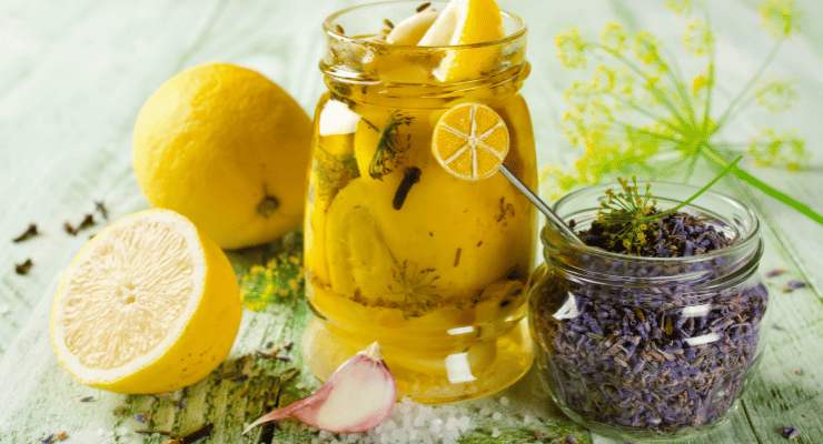 Remède naturel contre les mouches et les moustiques