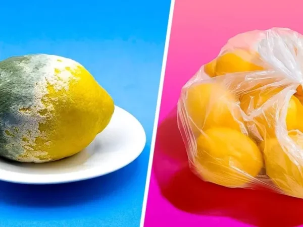 La Technique Ultime Pour Garder Les Citrons Frais Jusqu’à 3 Mois