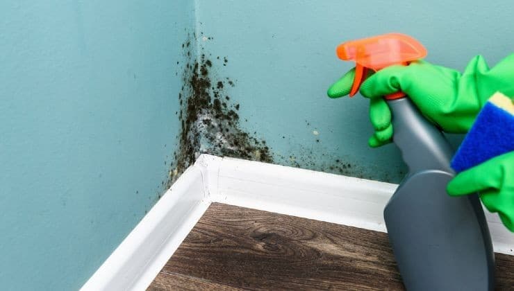 La moisissure dans la maison, où se forme-t-elle ? Vérifiez tous ces points que vous ignorez toujours 2