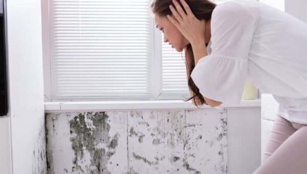 La moisissure dans la maison, où se forme-t-elle ? Vérifiez tous ces points que vous ignorez toujours