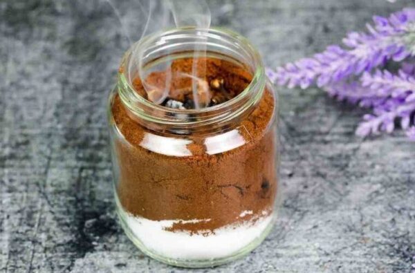 La méthode naturelle puissante pour éloigner les mouches, moustiques et autres insectes de votre maison