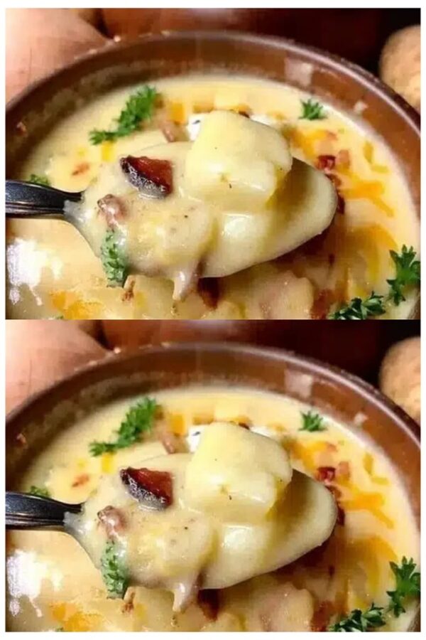 La soupe est un succès, je la fais encore et encore ! – Soupe de pommes de terre comme celle de grand-mère