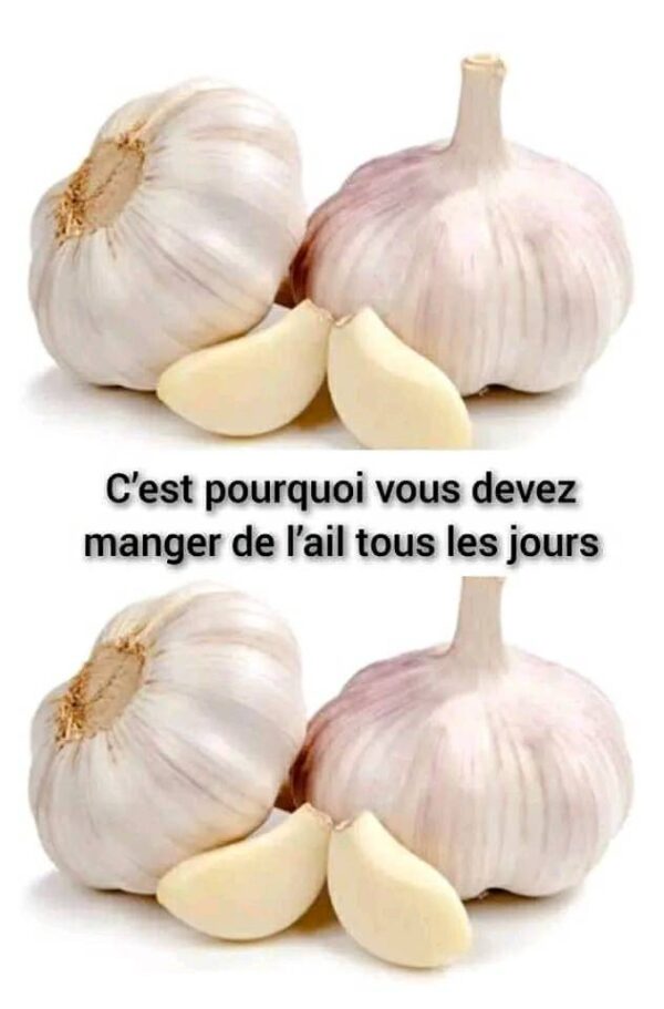 L’ail peut tuer 14 infections Différentes ! Alors Pourquoi les Médecins ne le Recommandent-ils Pas ?