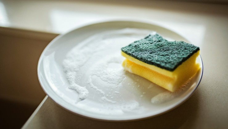 éponge à vaisselle éponge à vaisselle