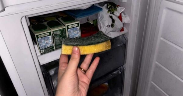 Laissez une éponge de rinçage dans votre congélateur, ce qui se passe est inattendu