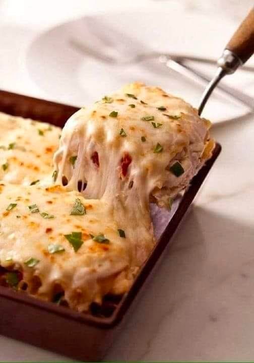 Lasagnes crémeuses de poulet
