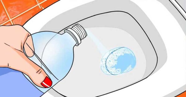 L’astuce de la bouteille, un moyen économique de faire briller les toilettes de propreté