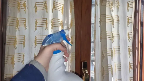 L’astuce des femmes au foyer pour se débarrasser définitivement des punaises de lit