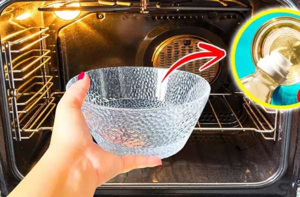 L’astuce magique pour nettoyer tout le four avec la méthode du bol : il brillera de propreté