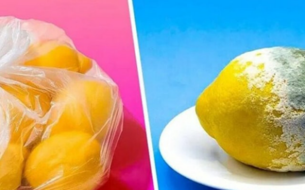 L’astuce pour conserver les citrons 3 mois et plus et éviter qu’ils ne pourrissent