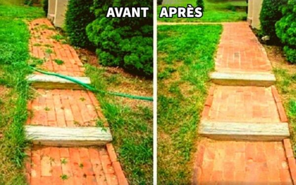 L’astuce rapide pour tuer les mauvaises herbes avec du vinaigre blanc!!