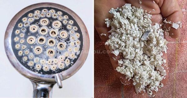 L’astuce ultime pour nettoyer le pommeau de douche et augmenter le débit (et la pression) d’eau