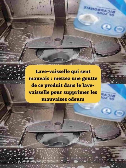 Lave-vaisselle qui sent mauvais : mettez une goutte de ce produit dans le lave-vaisselle pour supprimer les mauvaises odeurs