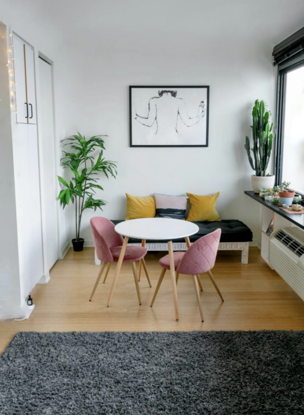 Le Guide Ultime pour Placer Votre Cactus de Noël à la Maison