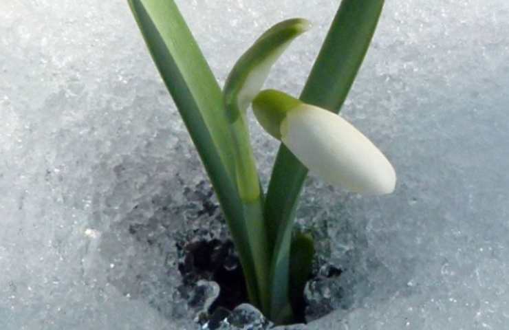 il est situé dans les montagnes