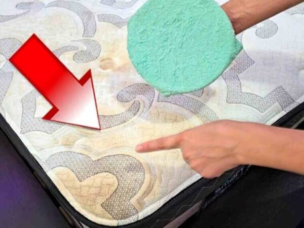 Le secret des femmes de ménage pour enlever les taches sur matelas, meubles et fauteuils