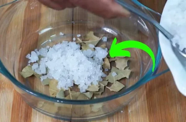 Le sel et le laurier dans la maison valent de l’or : les nombreux usages cachés