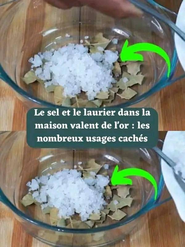 Le sel et le laurier dans la maison valent de l’or : les nombreux usages cachés