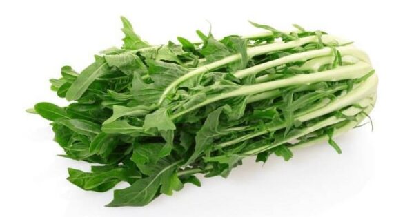 Les Bienfaits de la Chicorée : abaisse le cholestérol, expulse les toxines, purifie les reins et donne de l’énergie