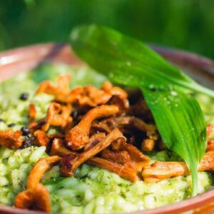 L'ail des ours depuis recettemoderne.com