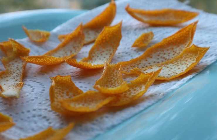 Zeste séché pour préparer des plats savoureux et des digestifs