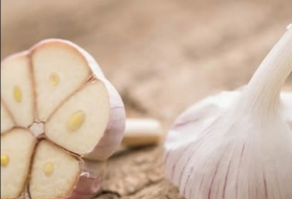 Les incroyables propriétés de l’ail contre les infections