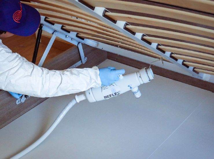 Extermination des punaises de lit