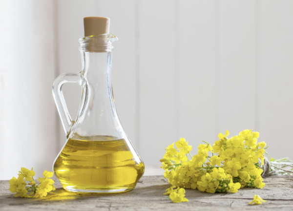 L&rsquo;huile de colza : Bienfaits, Utilisations et Durabilité