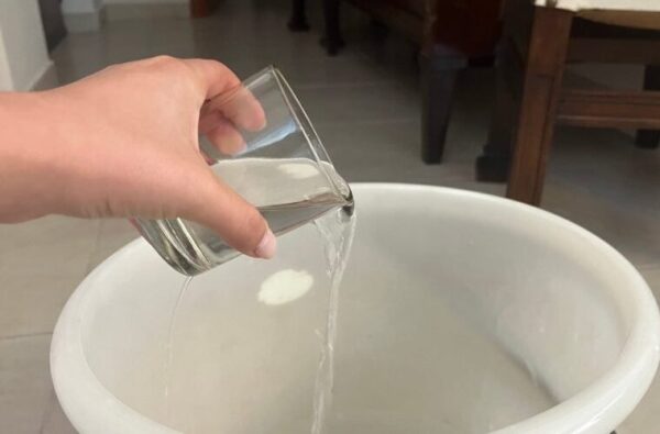 Maison envahie par les coquerelles et les coquerelles, comment nettoyer le sol pour les éliminer immédiatement