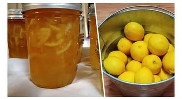 Marmelade de citron maison : la recette la plus rapide et la plus facile à réaliser