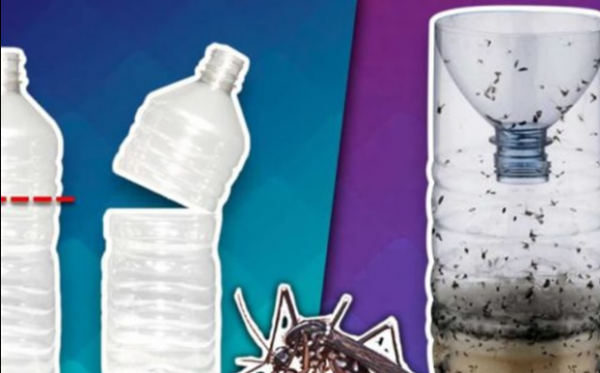 Mini piège DIY pour moustiques et mouches, très simple à réaliser