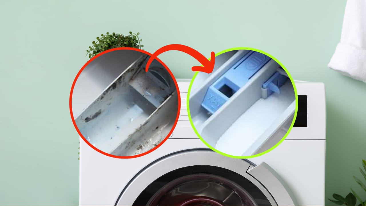 Machine à laver cuve pleine de moisissure
