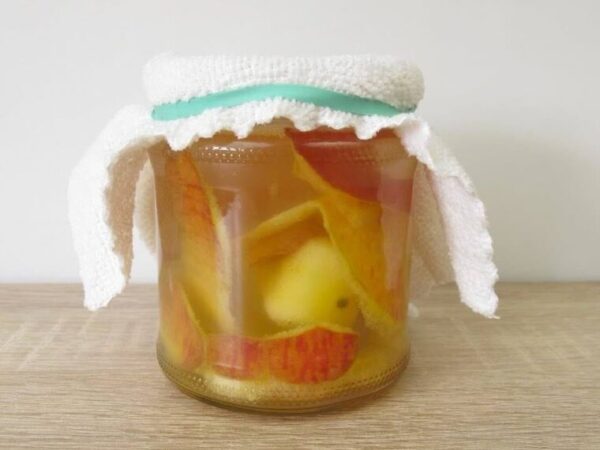 NE JAMAIS JETER LES PELURES DE POMMES : LES FAIRE TREMPER DANS UN BOCAL REMPLI DE VINAIGRE