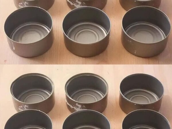 Ne jetez plus les boîtes de thon, elles valent de l’or à la maison : comment les réutiliser