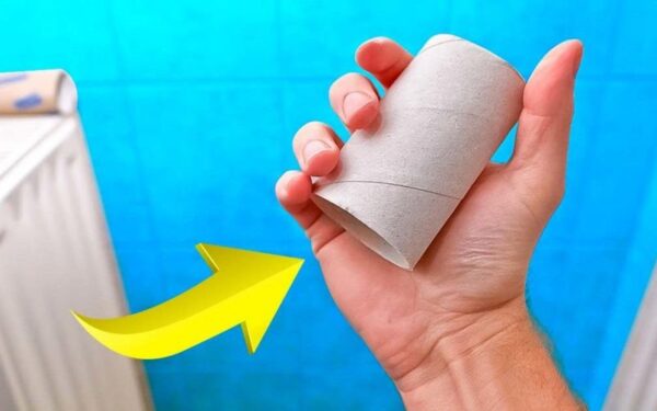 Ne jetez plus les tubes de papier toilette : voici 4 façons malines de les utiliser