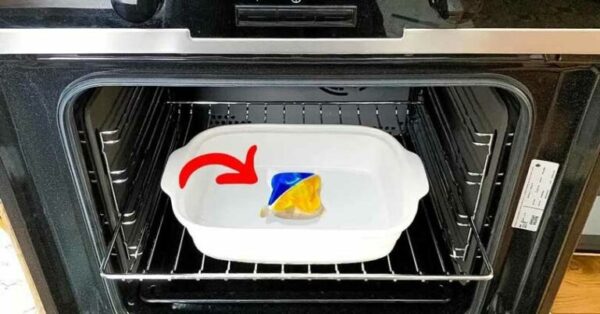 Nettoyer votre four sans peine avec cette astuce imparable – même la graisse brûlée s’évanouit