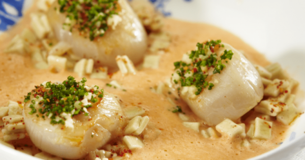 Noix de Saint-Jacques de la baie de St-Brieuc aux crozets de Savoie