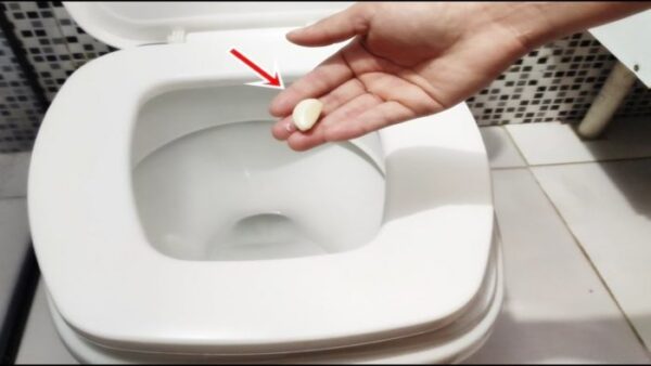 N’oubliez pas de Mettre de l’Ail dans vos Toilettes avant de Dormir. Voici Pourquoi