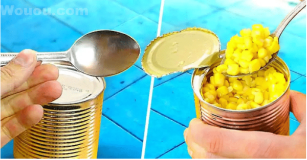 Ouverture d’une Conserve Métallique sans Ouvre-Boîte