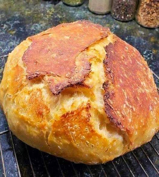 Pain de campagne avec succès garanti !