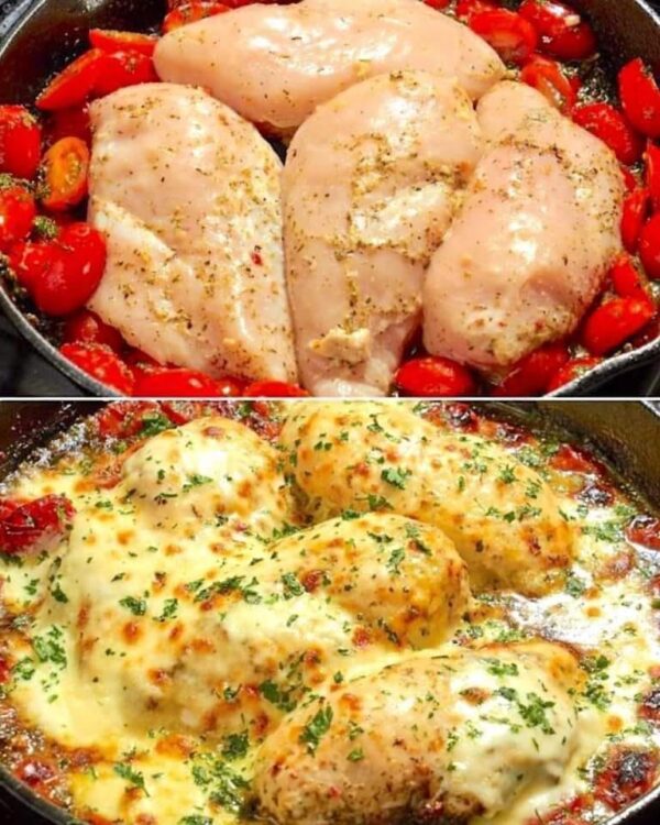 Poulet au four à la tomate : la recette facile et savoureuse