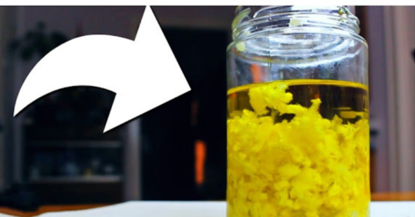 Pour des os solides et des articulations saines : Juste 2 ingrédients !