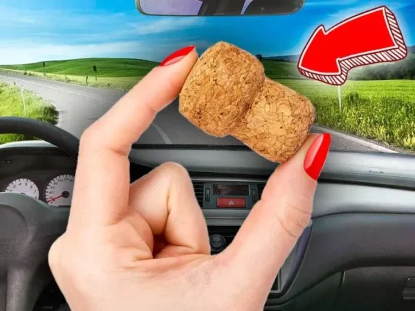 Pourquoi est-il important d’avoir toujours un bouchon dans sa voiture ?