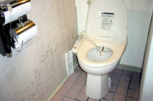 Pourquoi les Japonais s’assoient-ils sur les toilettes face vers l’avant ?