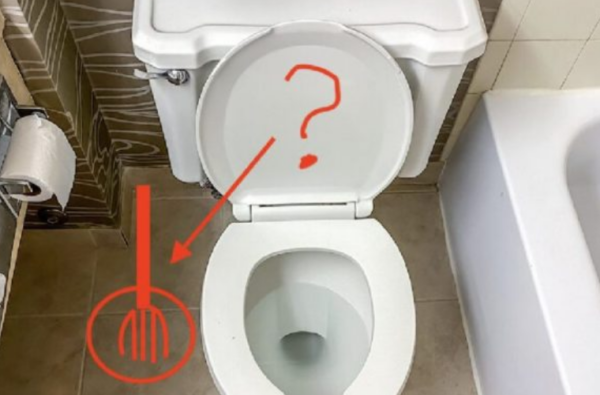 Pourquoi n’y a-t-il pas de brosses de toilettes en Amérique et pourquoi n’y en a-t-il jamais eu ?