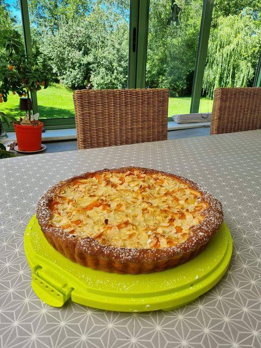 Pâte levée pour mes tartes aux fruits