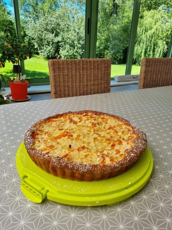 Pâte levée pour mes tartes aux fruits
