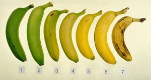 Bienfaits de la banane depuis recettemoderne.com