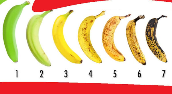 Quel est le meilleur moment pour manger des bananes ?