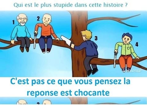 Qui est le plus stupide ici ? Chacun de vos choix révèle un aspect de votre personnalité !